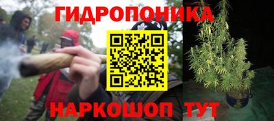 сатива Мариинск